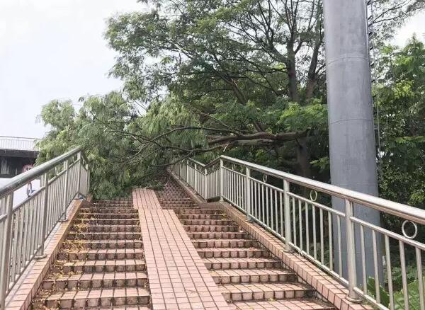 “天鴿”登陸了又怎樣，智彤印刷正常發(fā)放福利！